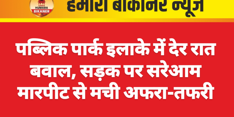 पब्लिक पार्क इलाके में देर रात बवाल, सड़क पर सरेआम मारपीट से मची अफरा-तफरी
