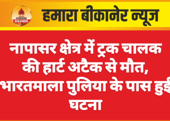 नापासर क्षेत्र में ट्रक चालक की हार्ट अटैक से मौत, भारतमाला पुलिया के पास हुई घटना