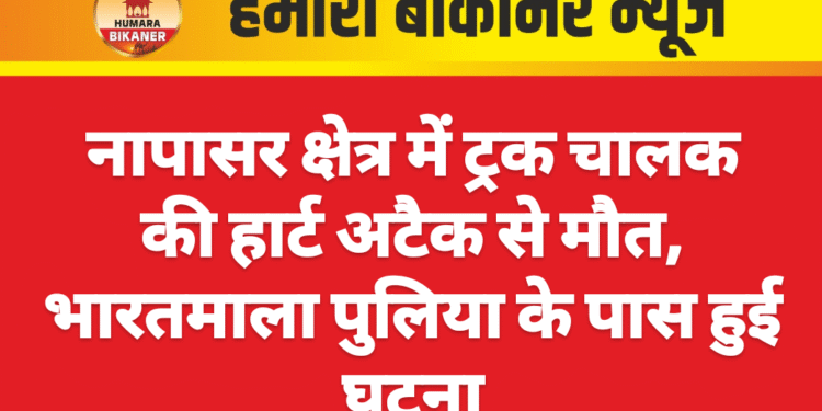 नापासर क्षेत्र में ट्रक चालक की हार्ट अटैक से मौत, भारतमाला पुलिया के पास हुई घटना