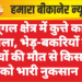 पूगल क्षेत्र में कुत्ते का हमला, भेड़-बकरियों के बच्चों की मौत से किसान को भारी नुकसान