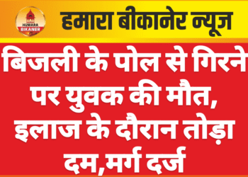 बिजली के पोल से गिरने पर युवक की मौत, इलाज के दौरान तोड़ा दम,मर्ग दर्ज