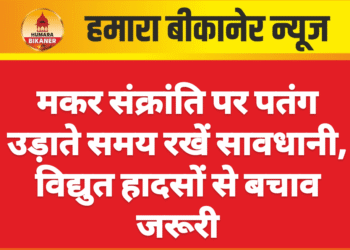 मकर संक्रांति पर पतंग उड़ाते समय रखें सावधानी, विद्युत हादसों से बचाव जरूरी