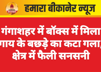 गंगाशहर में बॉक्स में मिला गाय के बछड़े का कटा गला, क्षेत्र में फैली सनसनी