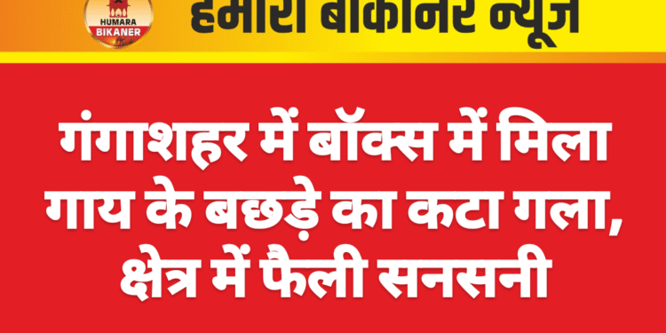 गंगाशहर में बॉक्स में मिला गाय के बछड़े का कटा गला, क्षेत्र में फैली सनसनी