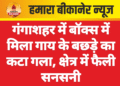 गंगाशहर में बॉक्स में मिला गाय के बछड़े का कटा गला, क्षेत्र में फैली सनसनी