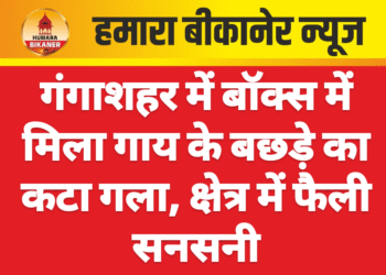 गंगाशहर में बॉक्स में मिला गाय के बछड़े का कटा गला, क्षेत्र में फैली सनसनी