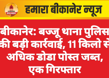 बीकानेर: बज्जू थाना पुलिस की बड़ी कार्रवाई, 11 किलो से अधिक डोडा पोस्त जब्त, एक गिरफ्तार