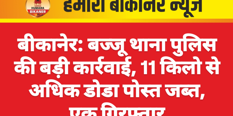 बीकानेर: बज्जू थाना पुलिस की बड़ी कार्रवाई, 11 किलो से अधिक डोडा पोस्त जब्त, एक गिरफ्तार