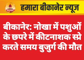 बीकानेर: नोखा में पशुओं के छपरे में कीटनाशक स्प्रे करते समय बुजुर्ग की मौत