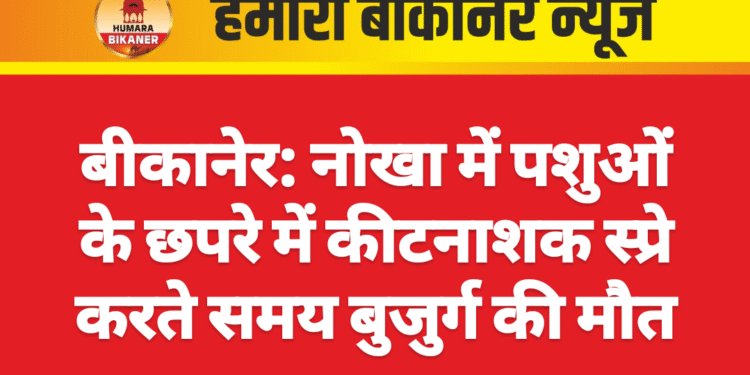 बीकानेर: नोखा में पशुओं के छपरे में कीटनाशक स्प्रे करते समय बुजुर्ग की मौत