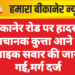 बीकानेर रोड पर हादसा: अचानक कुत्ता आने से बाइक सवार की जान गई,मर्ग दर्ज