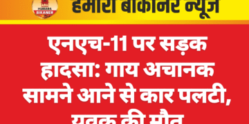 एनएच-11 पर सड़क हादसा: गाय अचानक सामने आने से कार पलटी, युवक की मौत