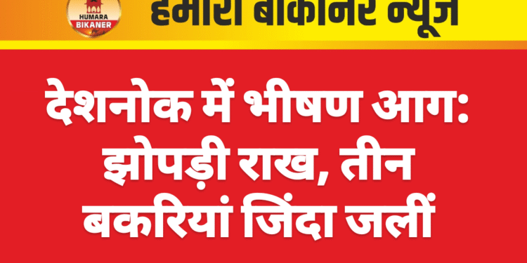 देशनोक में भीषण आग: झोपड़ी राख, तीन बकरियां जिंदा जलीं