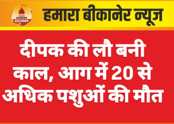 दीपक की लौ बनी काल, आग में 20 से अधिक पशुओं की मौत