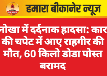 नोखा में दर्दनाक हादसा: कार की चपेट में आए राहगीर की मौत, 60 किलो डोडा पोस्त बरामद