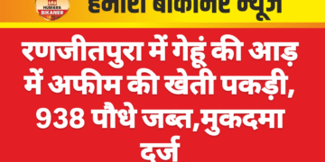 रणजीतपुरा में गेहूं की आड़ में अफीम की खेती पकड़ी, 938 पौधे जब्त,मुकदमा दर्ज