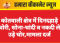 कोतवाली क्षेत्र में दिनदहाड़े चोरी, सोना-चांदी व नकदी ले उड़े चोर,मामला दर्ज