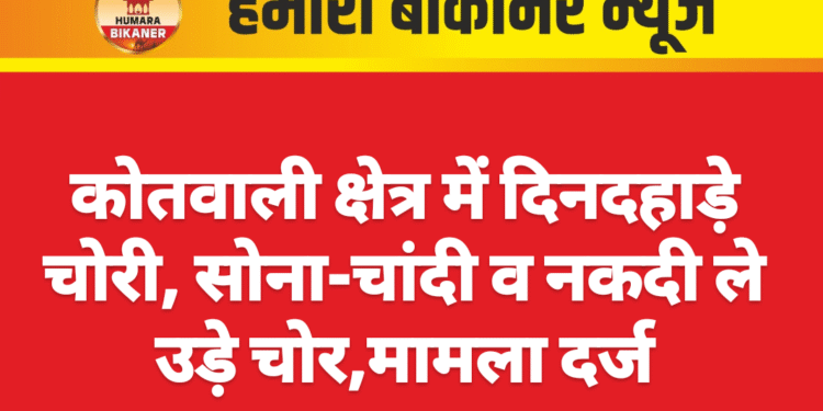 कोतवाली क्षेत्र में दिनदहाड़े चोरी, सोना-चांदी व नकदी ले उड़े चोर,मामला दर्ज
