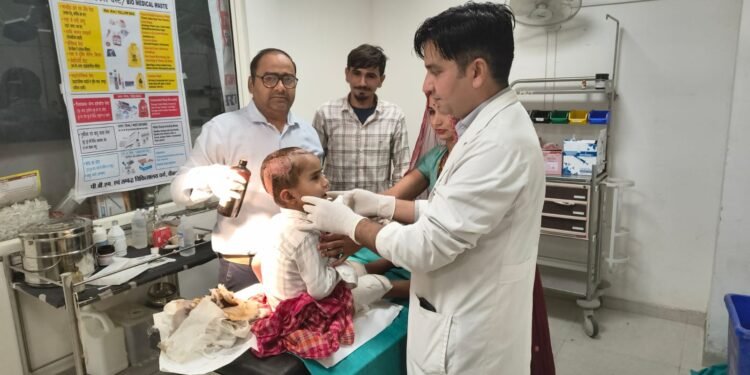 बीकानेर: आवारा कुत्ते के हमले से घायल मासूम की पीबीएम में नि:शुल्क प्लास्टिक सर्जरी