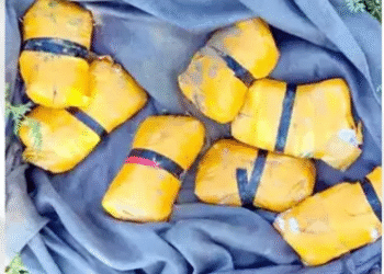 राजस्थान बॉर्डर पर ड्रोन से हेरोइन की तस्करी नाकाम, 30 करोड़ की खेप जब्त