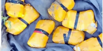 राजस्थान बॉर्डर पर ड्रोन से हेरोइन की तस्करी नाकाम, 30 करोड़ की खेप जब्त