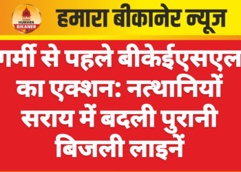 गर्मी से पहले बीकेईएसएल का एक्शन: नत्थानियों सराय में बदली पुरानी बिजली लाइनें