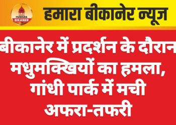बीकानेर में प्रदर्शन के दौरान मधुमक्खियों का हमला, गांधी पार्क में मची अफरा-तफरी