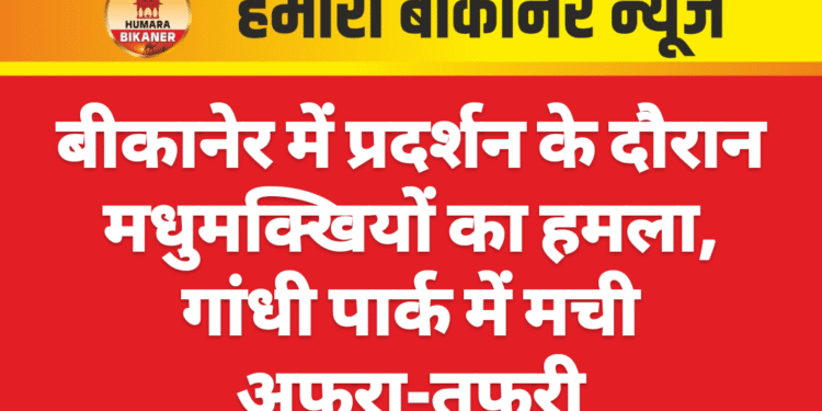 बीकानेर में प्रदर्शन के दौरान मधुमक्खियों का हमला, गांधी पार्क में मची अफरा-तफरी