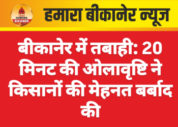 बीकानेर में तबाही: 20 मिनट की ओलावृष्टि ने किसानों की मेहनत बर्बाद की