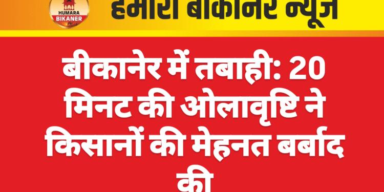 बीकानेर में तबाही: 20 मिनट की ओलावृष्टि ने किसानों की मेहनत बर्बाद की