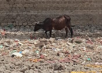 कोडमदेसर तालाब के जीर्णोद्धार एवं सफाई अभियान का आगाज रविवार से