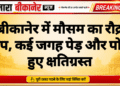 बीकानेर में मौसम का रौद्र रूप, कई जगह पेड़ और पोल हुए क्षतिग्रस्त