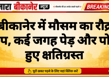 बीकानेर में मौसम का रौद्र रूप, कई जगह पेड़ और पोल हुए क्षतिग्रस्त