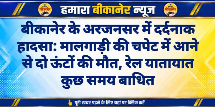 बीकानेर के अरजनसर में दर्दनाक हादसा: मालगाड़ी की चपेट में आने से दो ऊंटों की मौत, रेल यातायात कुछ समय बाधित