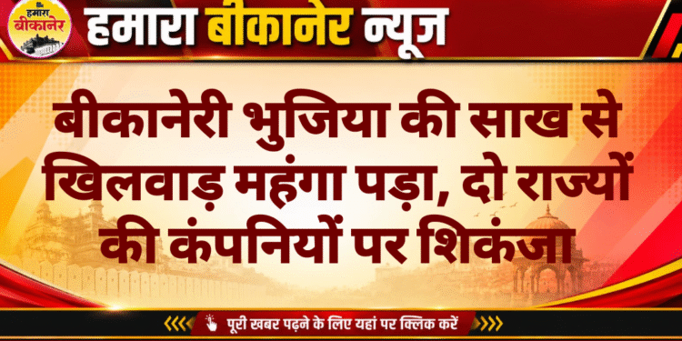 बीकानेरी भुजिया की साख से खिलवाड़ महंगा पड़ा, दो राज्यों की कंपनियों पर शिकंजा