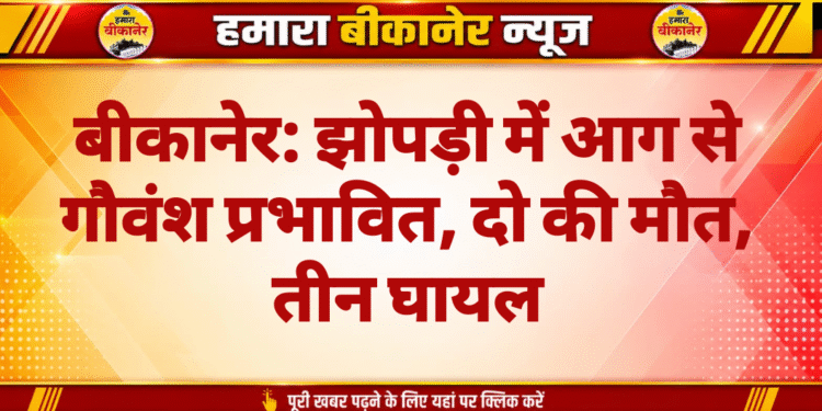 बीकानेर: झोपड़ी में आग से गौवंश प्रभावित, दो की मौत, तीन घायल