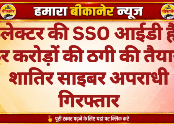 कलेक्टर की SSO आईडी हैक कर करोड़ों की ठगी की तैयारी, शातिर साइबर अपराधी गिरफ्तार
